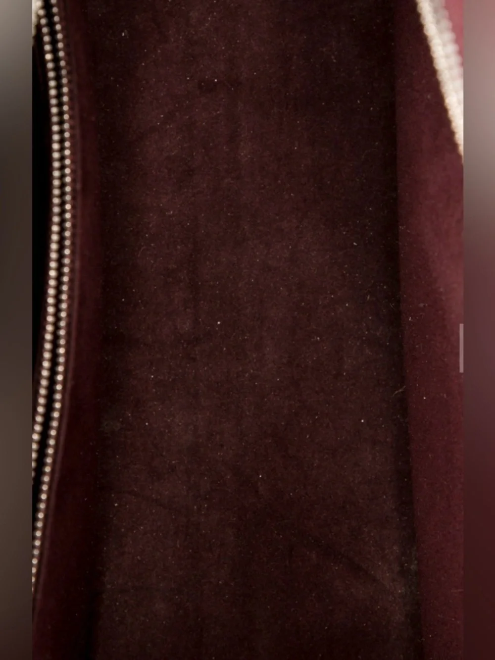 Louis - Picture 4 of 5